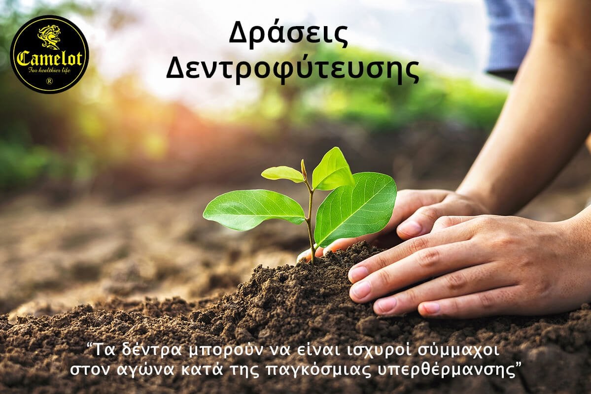 Δράση δεντροφύτευσης 10/6/23 featured image
