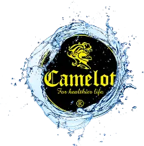camelot badge